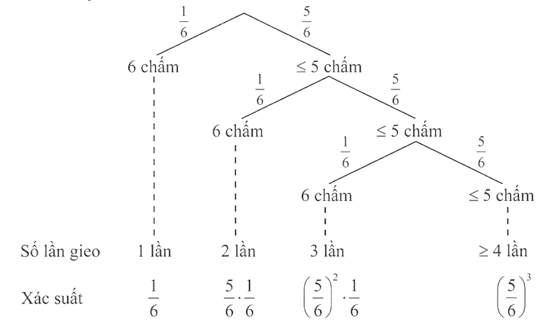 Hình minh họa câu hỏi